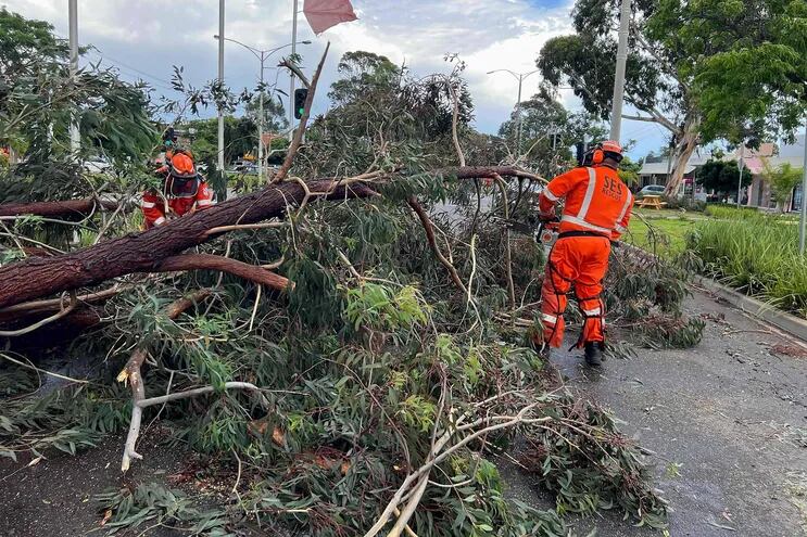 Tormentas con fuertes vientos derribaron árboles, mataron a una persona y dejaron sin electricidad a cientos de miles de hogares y negocios en el este de Australia, dijeron funcionarios.