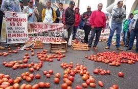 Productores de tomate exigen fin del contrabando