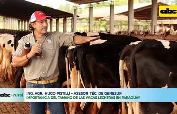 Importancia del tamaño de las vacas lecheras en Paraguay