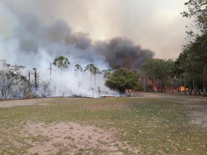 Incendio en el Pantanal.