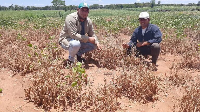 La sequía desespera a productores agrícolas de San Pedro y claman por apoyo estatal para iniciar siembre de maíz