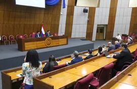 La audiencia pública se realizó ayer en la Sala Bicameral del Congreso Nacional.