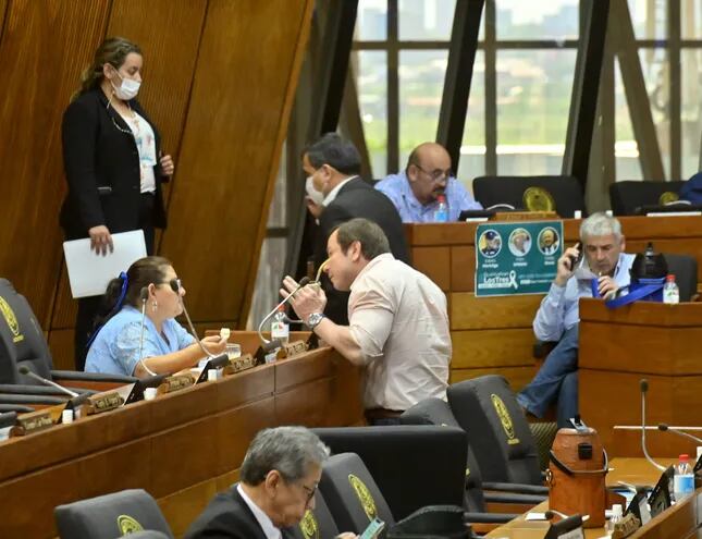 Entre los liberales no existió acuerdo para votar a un mismo candidato. El diputado Eusebio Alvarenga (PLRA) fue el único que mocionó y votó por la designación de Natalia Beatriz Sosa.