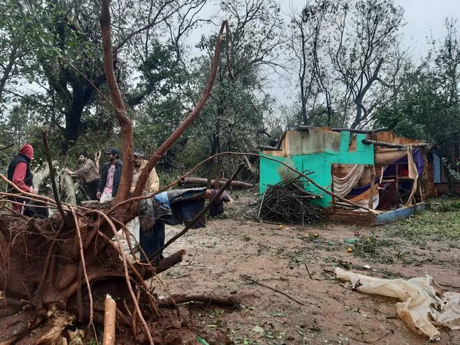 Un enorme árbol caído y una precaria vivienda destruida tras el fuerte temporal en Caaguazú.