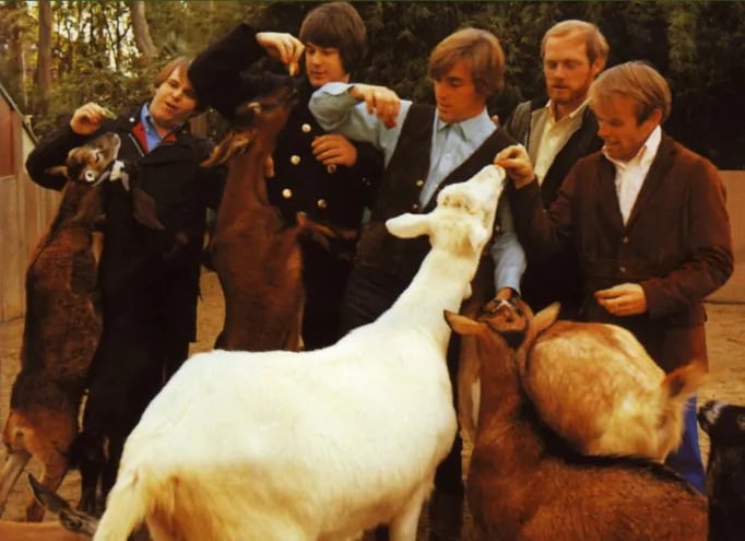 brian wilson chicos de la playa