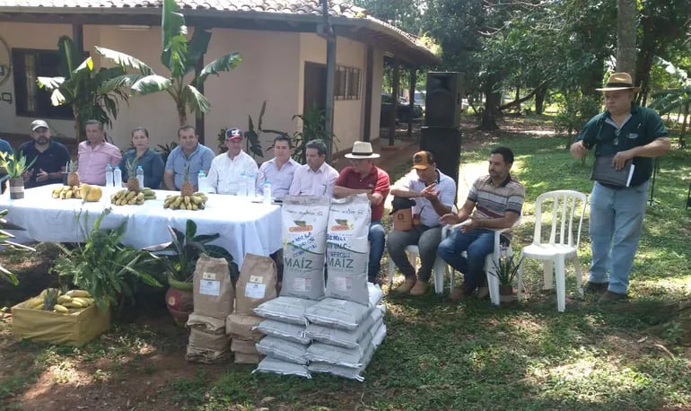 La entrega de las semillas en Guayaybí se realizó con la presencia de representes de los productores de la zona.