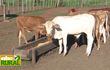 Abc Rural: Líneas de productos y balanceados para nutrición animal