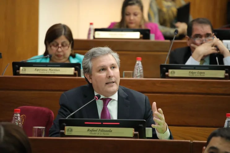 Rafael Filizzola (PDP). Foto: Prensa Senado.