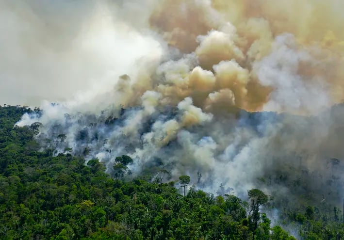 Un área en llamas en la selva del Amazonas, en el estado brasileño de Pará, en agosto.
