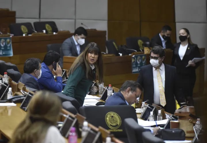 La Cámara de Diputados aceptó las modificaciones del Senado y sancionó la ley del Veterinario.
