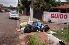 Basura acumulada en la calle Manuel González, de Lambaré