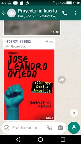 Un screen de un mensaje enviado a grupo del programa Mi Huerta de Tekoporã de Leandro Oviedo.