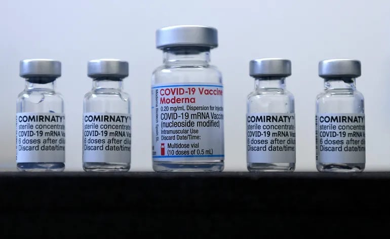 Frascos de la vacuna Comirnaty de Pfizer/BioNTech y de Moderna, contra el novel coronavirus.