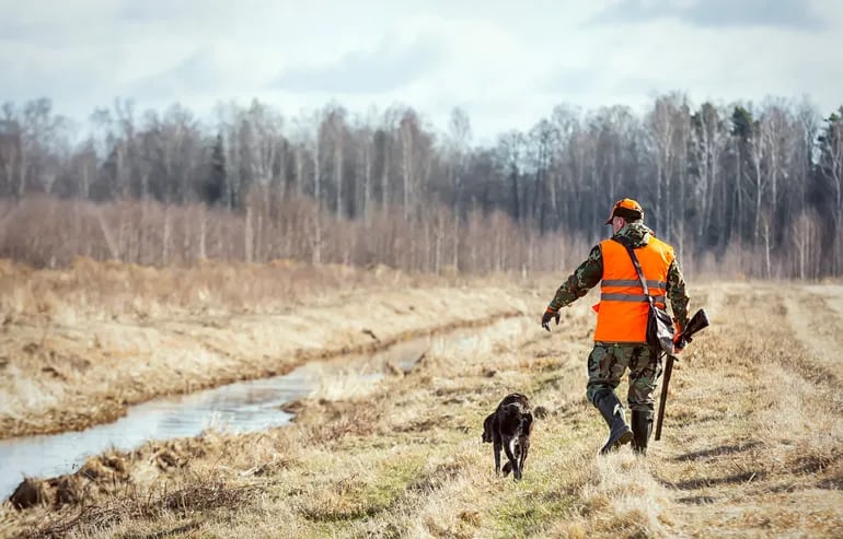 Un cazador caminar por el coto de caza con su perro. (Foto ilustrativa)