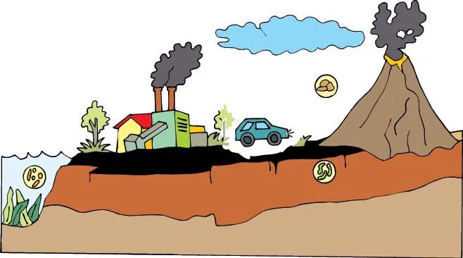  El ciclo del carbono