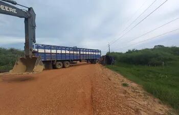 Con un tractor enderezan el camión que tumbó en medio de la ruta con los 50 animales a bordo.