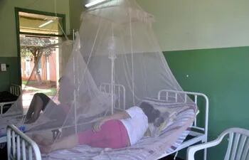 Instan nuevamente al uso de mosquiteros y repelentes ante la proliferación de casos de chikunguña.