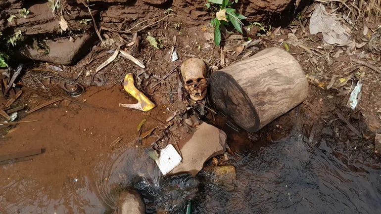 Cráneo hallado en un arroyo de Pedro Juan Caballero.