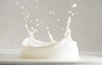 La leche y sus derivados son fuente de proteínas fácilmente digeribles que aportan todos los aminoácidos esenciales. Por eso se consideran proteínas de alta calidad nutricional o alto valor biológico.