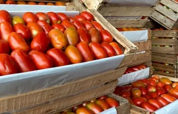El tomate ya sería comercializado a G. 20.000 para este fin de semana, anuncian los comerciantes.