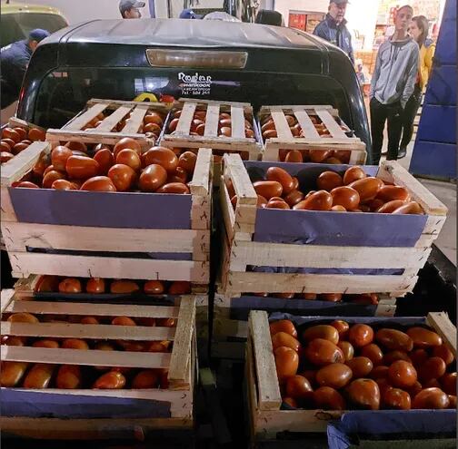Incautan 20 mil kilos de tomate de contrabando.