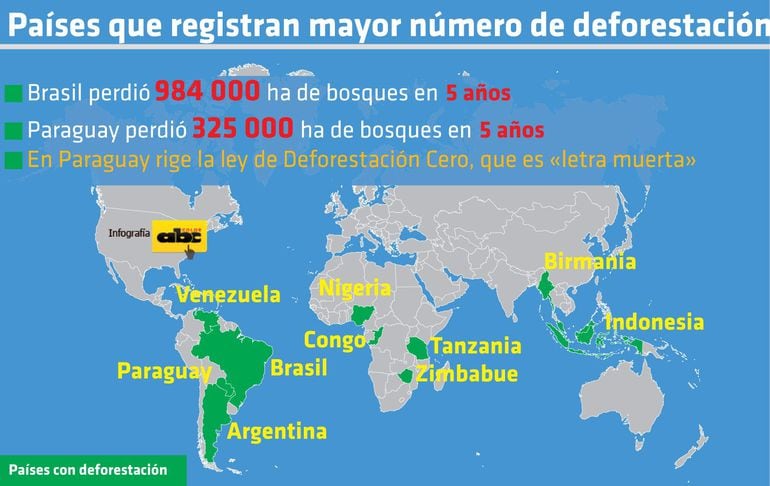 Cómo leer textos discontinuos la infografía Escolar