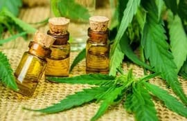 En las farmacias, el aceite de cannabis medicinal de 30 mililitros (ml) cuesta G. 350.000 y el del 240 ml, G. 1.800.000.