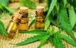 cannabis-medicinal-152650000000-1819739.jpg