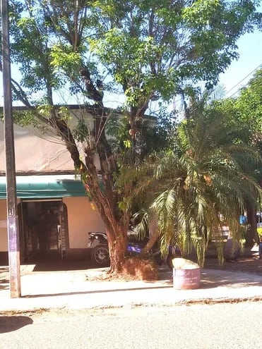La farmacia donde se registró un asalto en la ciudad de La Colmena.