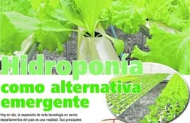 hidroponia-como-alternativa-emergente-75256000000-1808023.jpg