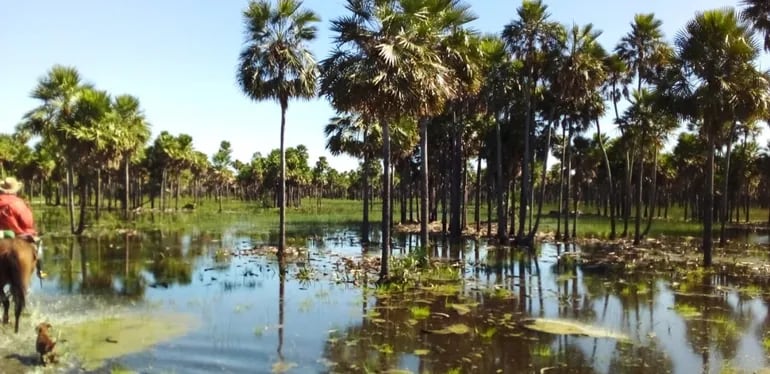 Los campos de la zona de karandayty, estan inundados y sus pobladores aislados.