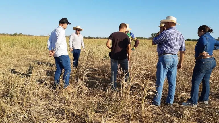 Representantes de la Asociación de Productores de Soja, aprendieron como se esta trabajando en el Chaco para lograr la producir  la oleaginosa