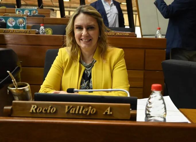 La diputada Rocío Vallejo (PPQ) explicó que en el Senado desvirtuaron totalmente su propuesta.