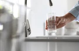 El agua es importante para mantener la temperatura corporal, eliminar los desechos y lubricar las articulaciones, es el mayor componente presente en el organismo.