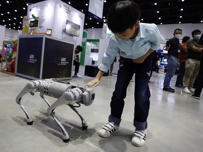 Investigadores del Consejo Superior de Investigaciones Científicas (CSIC) de Madrid han creado un perro-robot dotado de un sofisticado sistema de inteligencia artificial capaz de guiar a personas dependientes o con alguna discapacidad.