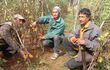 Productores afectados, Vasilio Martínez,  Juan  Martínez  y Carlos Agüero de la Colonia Blas Garay, muestran sus plantaciones de tomates totalmente destruidos.