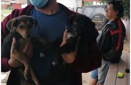 Cabul y Lucero, perritos rescatados