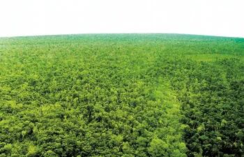 las-15-000-hectareas-de-paso-kurusu-declaradas-como-area-protegida-en-2010-podran-ser-explotadas-ahora-por-el-brasileno-ulises-rodrigues-teixeira-d-210613000000-618081.jpg