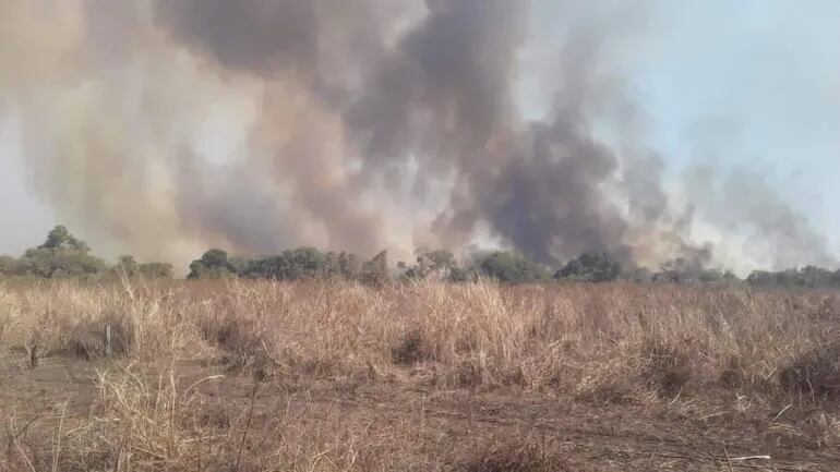 Incendio forestal en comunidad indígena de los ayoreos. (Imagen de referencia).