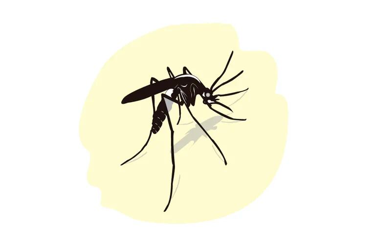 Día Mundial del Paludismo o Malaria.