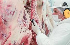 Técnico de Senacsa verifica la calidad de la carne en un frigorífico local.