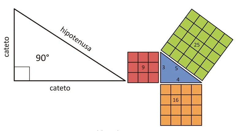Fiel Hipócrita Menagerry Teorema de Pitágoras - Escolar - ABC Color