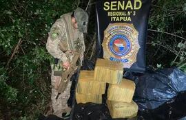 Un agente antidrogas observa la carga de marihuana prensada que estaba oculta en un bosquecillo, a orillas del río Paraná, en el barrio Itacuá de Encarnación.
