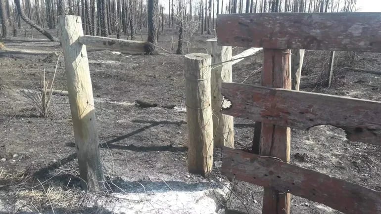Postes, alambrados y portones destruidos por el paso del fuego por estancias del distrito de Fuerte Olimpo.