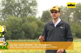 ABC Rural: Syngenta y Nidera mostraron sus variedades de soja en el Chaco