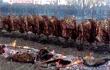 El Festival de la Costilla prepara 5.500 kilos de carne para recibir a unas 10.000 personas.
