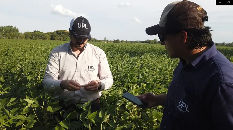 El Ing. Vicente Battaglia y el Ing. Marco San Martín, monitorean  un cultivo de soja y recogen datos.