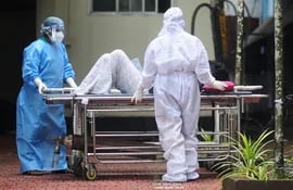Las autoridades indias anunciaron esta semana que intentan contener una epidemia de Nipah, un virus poco común transmitido de animales a humanos y que provoca una fuerte fiebre con una tasa de mortalidad elevada. A continuación lo que se sabe actualmente.