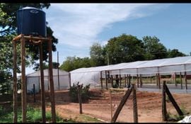 El invernadero montado en la comunidad de Agüerito servirá para la producción de cannabis.