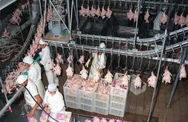 la-exportacion-de-carne-aviar-aunque-todavia-es-poca-genera-buenos-ingresos-a-los-productores-de-este-rubro-el-principal-mercado-es-rusia--212443000000-1726385.jpg